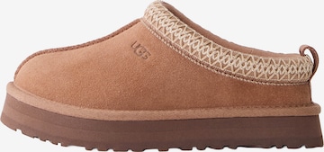 UGGPapuče 'TAZZ' - smeđa boja: prednji dio