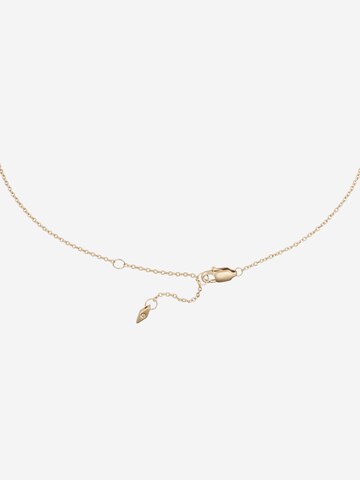 FOSSIL Necklace in Gold