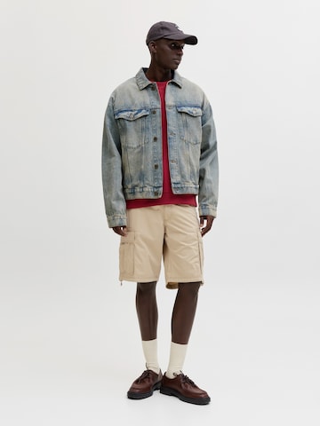 JACK & JONES Regular Cargo Pants 'JPSTCOLE FRANK' in Brown