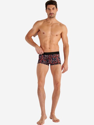HOM Boxershorts 'Malcom'‌‌‌‌‌ in Mischfarben