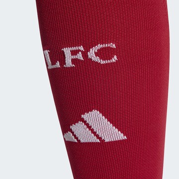 Chaussettes de sport 'Liverpool FC 25/26' ADIDAS PERFORMANCE en rouge