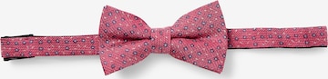 Andrew James Bow tie in Pink: front