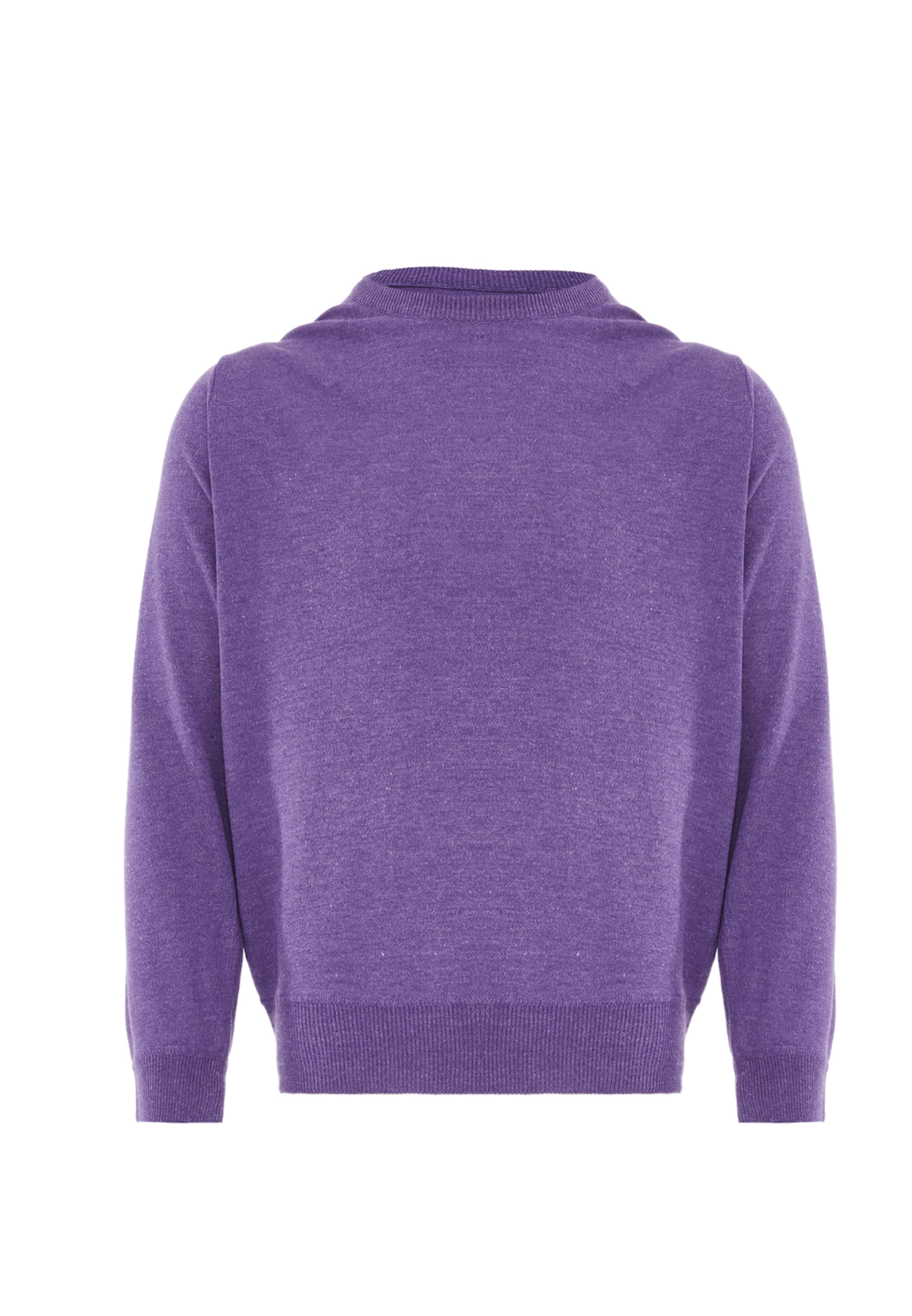 aleva Sweater in Purple: front