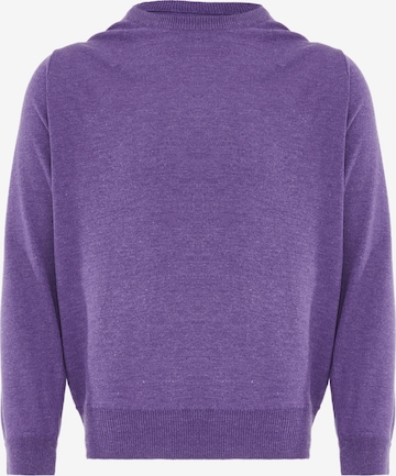 Pull-over CELOCIA en violet : devant