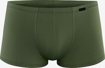 Olaf Benz Retro Pants ' RED2600 Minipants ' in Grün: Vorderseite