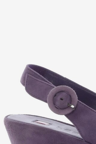 Högl Sandals & High-Heeled Sandals in 37,5 in Purple
