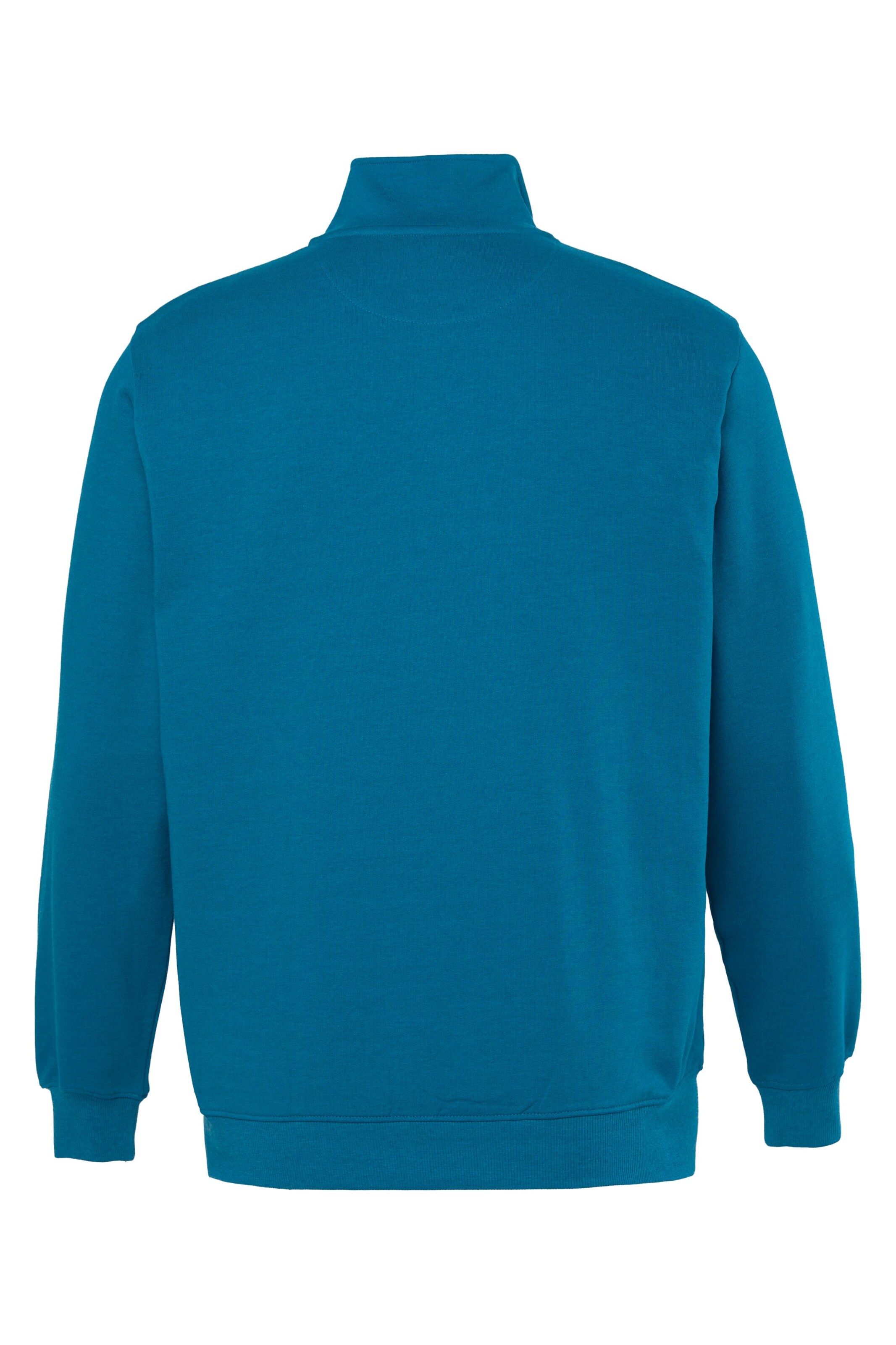 Men Plus Sweatshirt in Blue