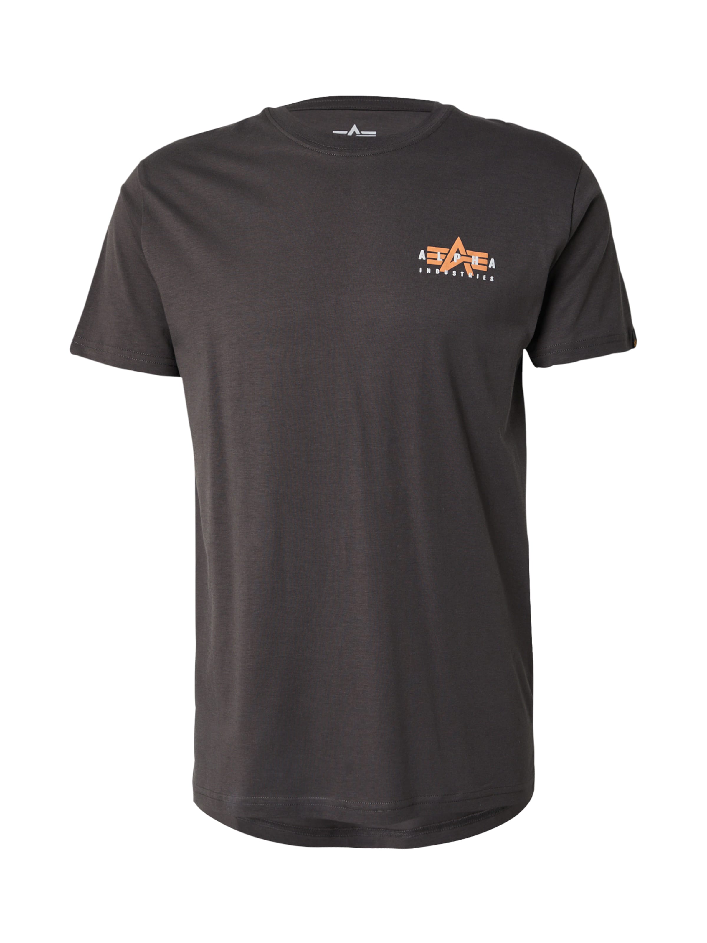 Maglietta di ALPHA INDUSTRIES in grigio: frontale
