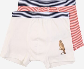 PETIT BATEAU Underpants in Red: front