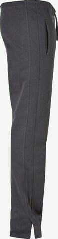 Slimfit Pantaloni di 9N1M SENSE in grigio