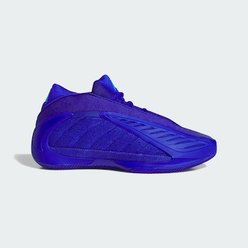 ADIDAS PERFORMANCE Sportschoen 'Anthony Edwards 2' in Blauw