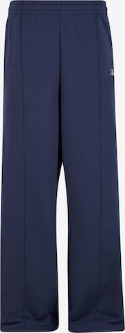 Karl Kani Loosefit Housut värissä sininen: etupuoli