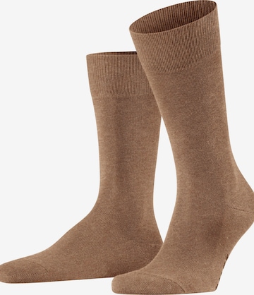 FALKE Socken 'Family' in Braun: Vorderseite