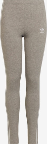 ADIDAS ORIGINALS Leggings 'Adicolor' in Grau: predná strana