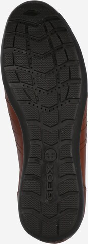 GEOX Lace-Up Shoes 'Symbol' in Brown