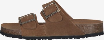 TAMARIS Mules in Brown