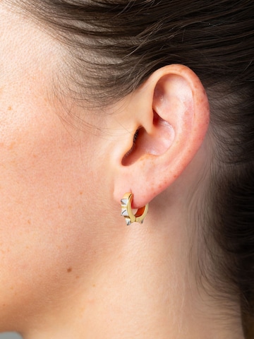 YParis Oorbellen 'Boucle Warren Bi' in Goud