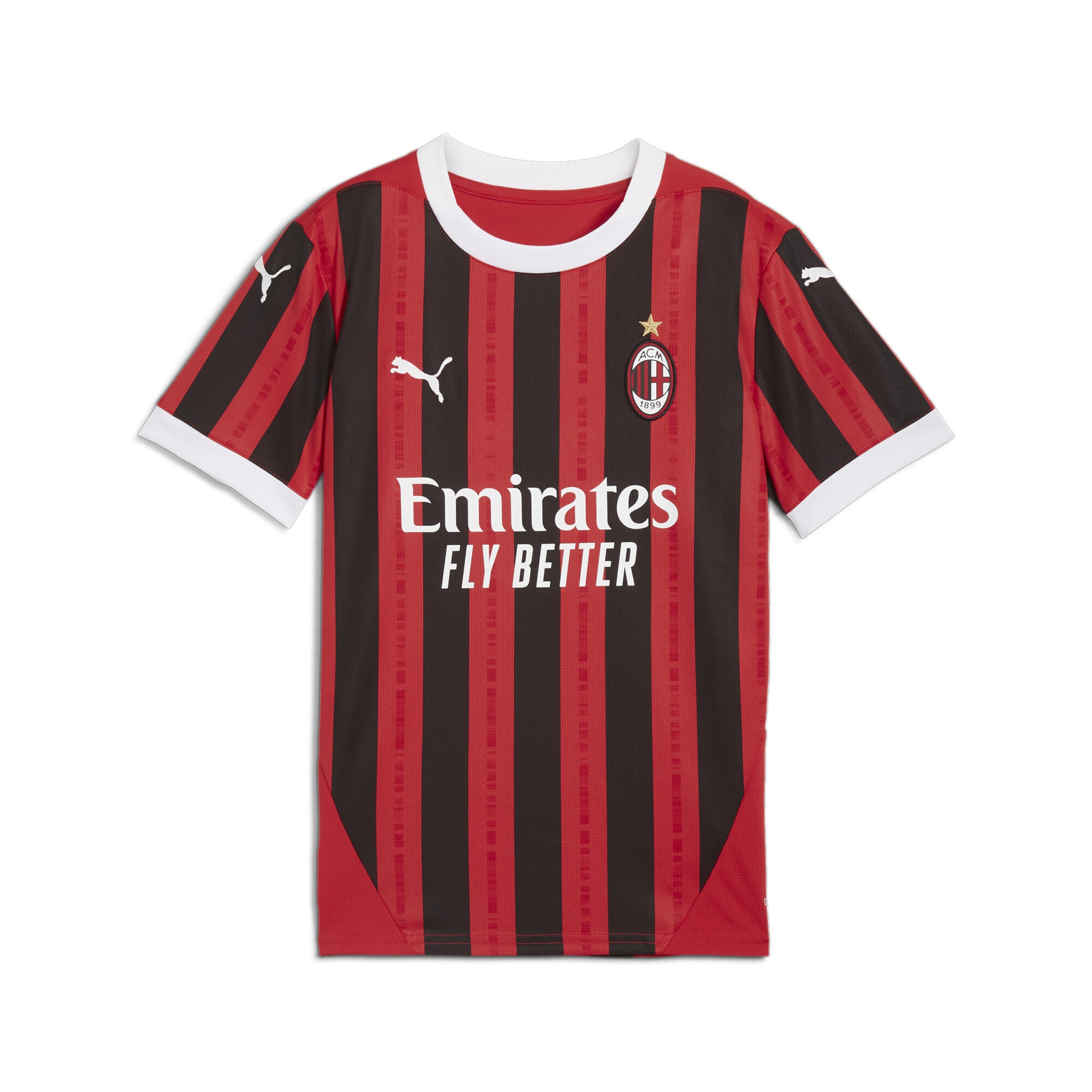 T-Shirt fonctionnel 'AC Milan 24/25' PUMA en rouge : devant