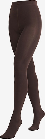 NextHulahopke - smeđa boja: prednji dio