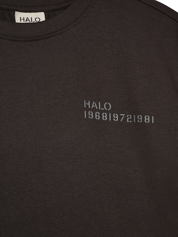 HALO Shirt 'Essential' in Brown