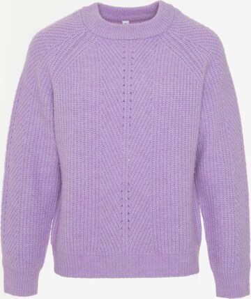 Pull-over 'Pikulina' BIG STAR en violet : devant