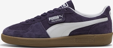 Baskets basses 'Palermo' PUMA en violet : devant