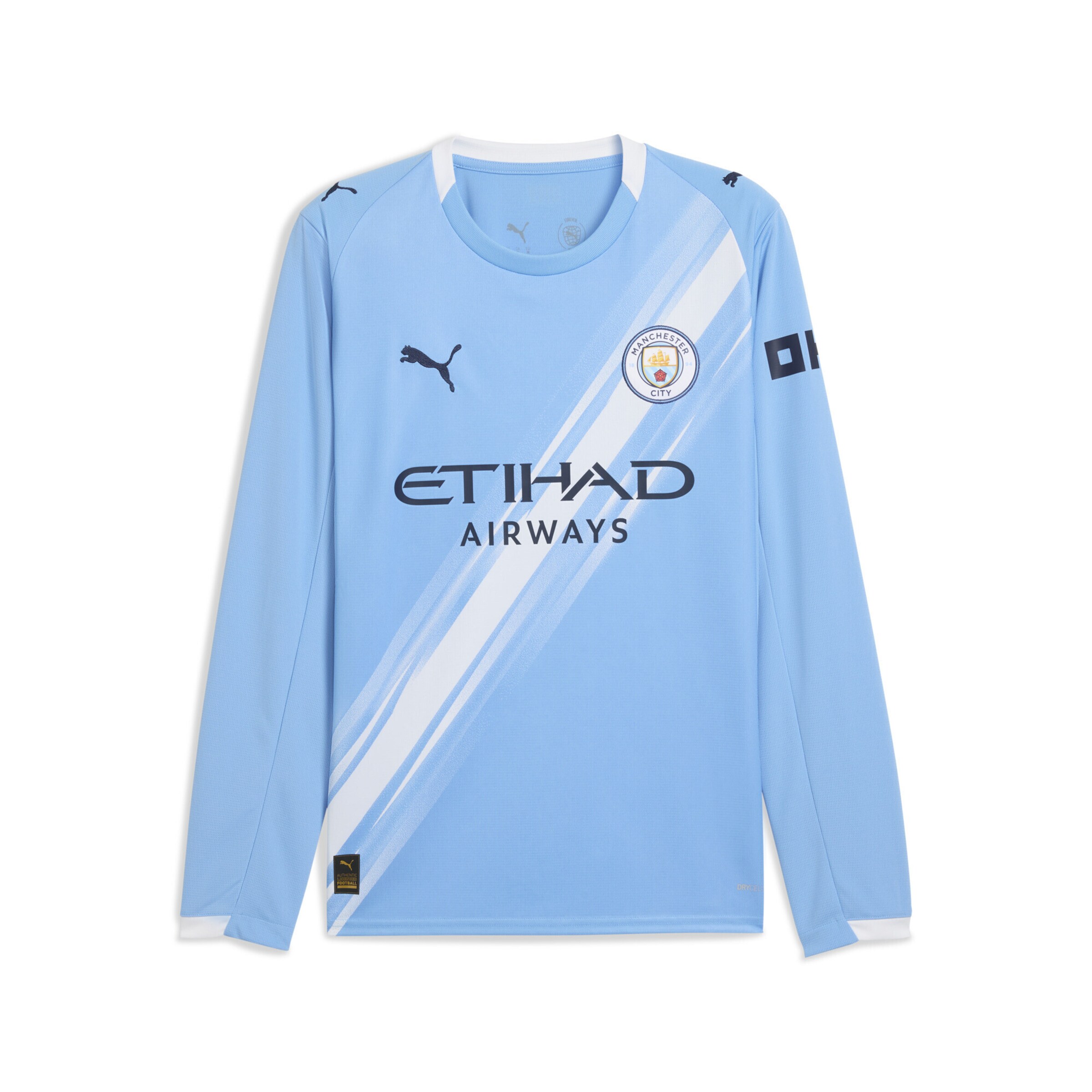 PUMA Jersey 'Manchester City 25/26' in Blue / Black / White, Item view