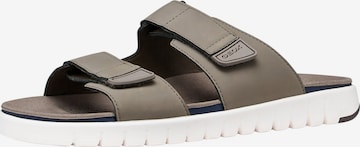 GEOX Pantolette in Grau: Vorderseite