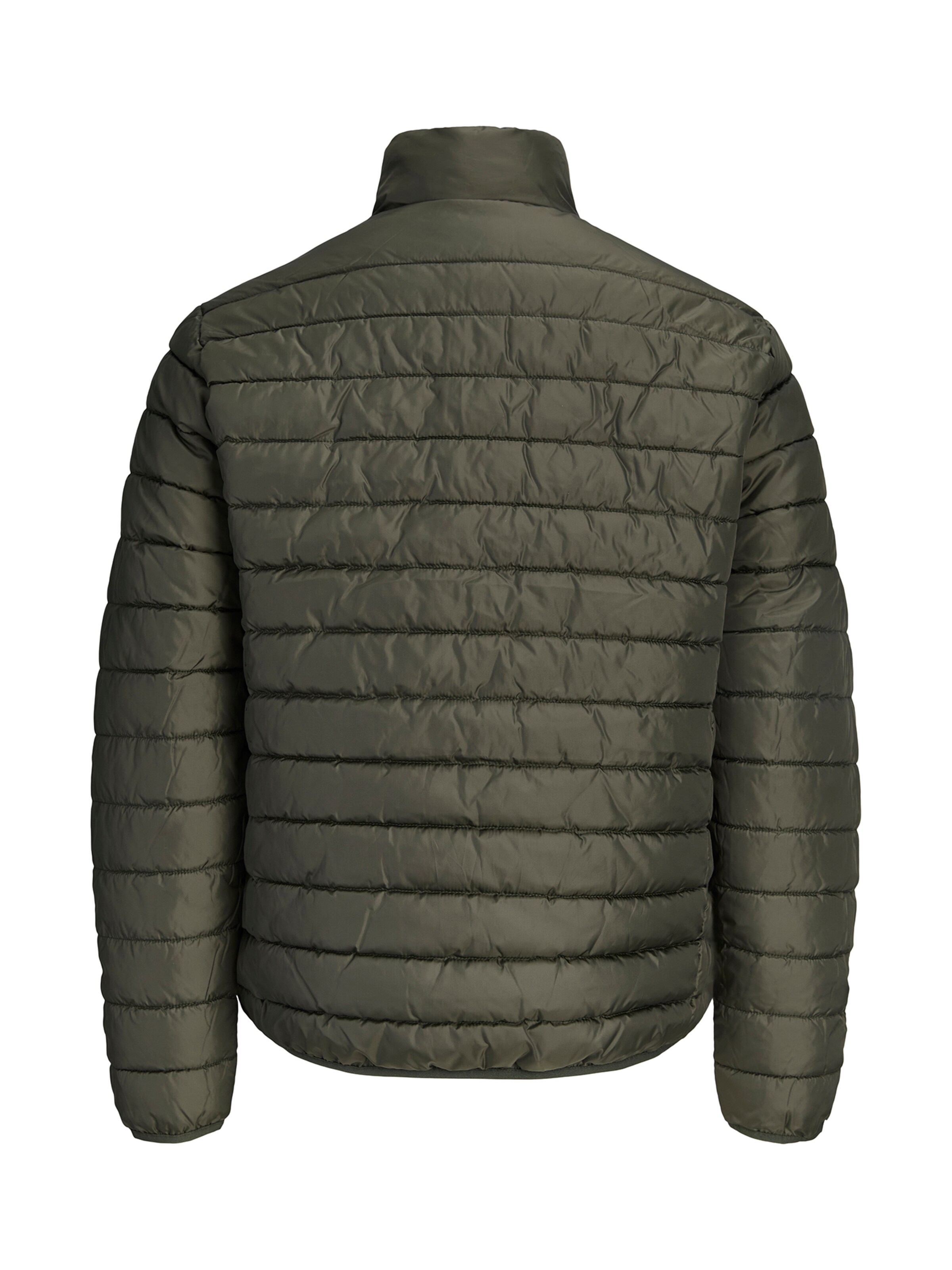 Veste d’hiver 'JJELVIS' Jack & Jones Plus en vert