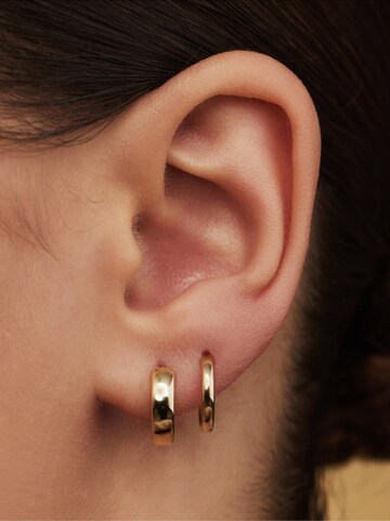 Isabel Bernard Earrings in Gold