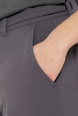 Harlem Soul Regular Cargo Pants in Grey