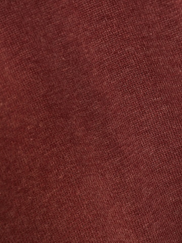 Pullover di Funky Buddha in marrone