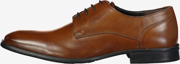Chaussure à lacets ROY ROBSON en marron : devant