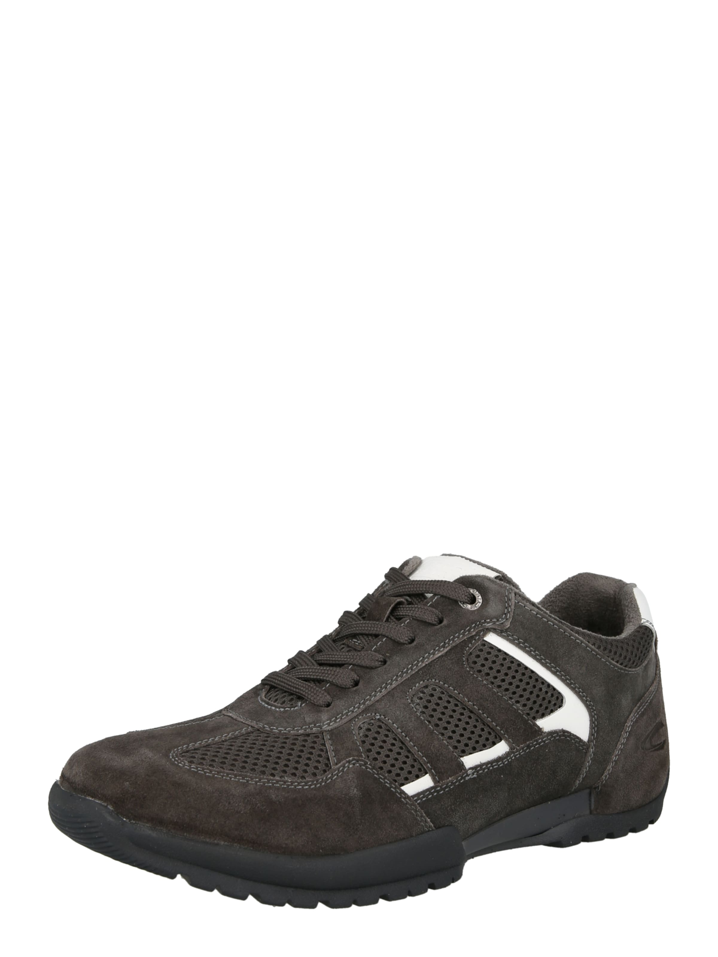 Baskets basses CAMEL ACTIVE en gris : devant
