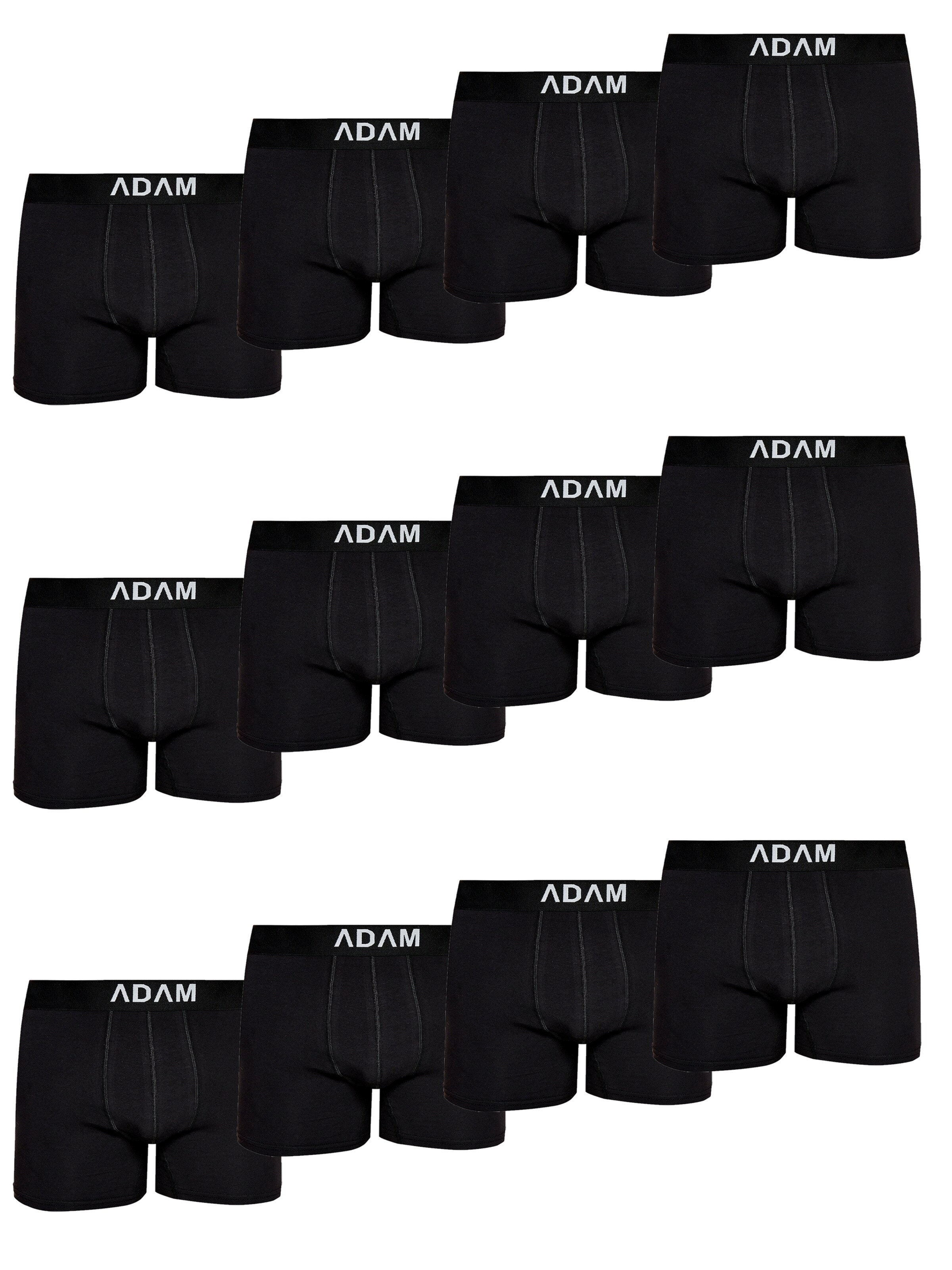 Adam Boxer shorts '12er Pack' in Black: front