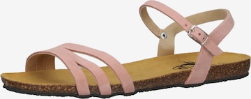 Plakton Strap Sandals in Pink: front
