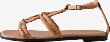 bēšs Next Siksniņsandales 'Forever Comfort': no priekšpuses
