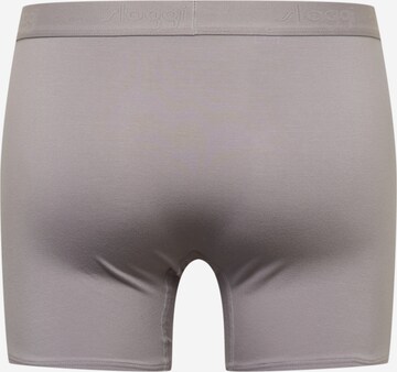 SLOGGI Boxer shorts 'men EVER Soft' in Grey