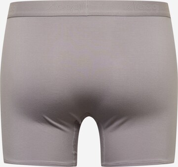 SLOGGI Boxershorts 'men EVER Soft' in Grau