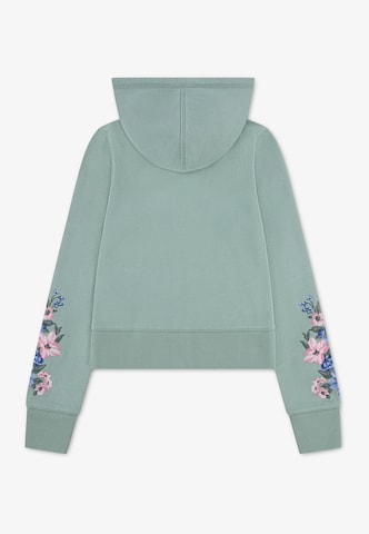 Abercrombie & Fitch Суичъри с качулка в зелено