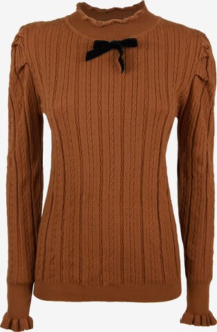 Influencer Sweater in Brown: front