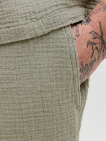 žalia JACK & JONES Laisvas Kelnės 'JPSTJAIDEN PATRAS'