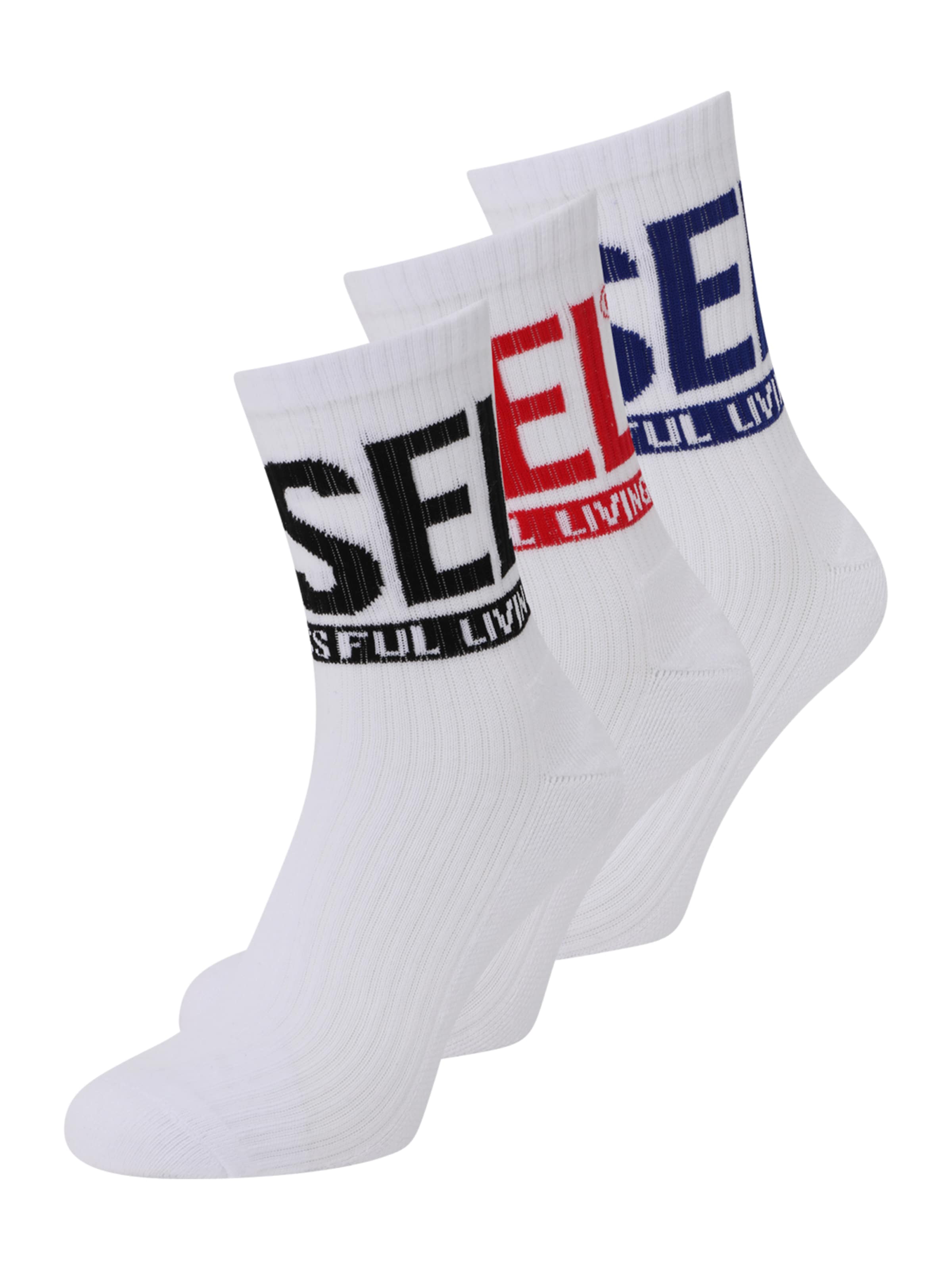 DIESEL Socks 'RAY' in White: front