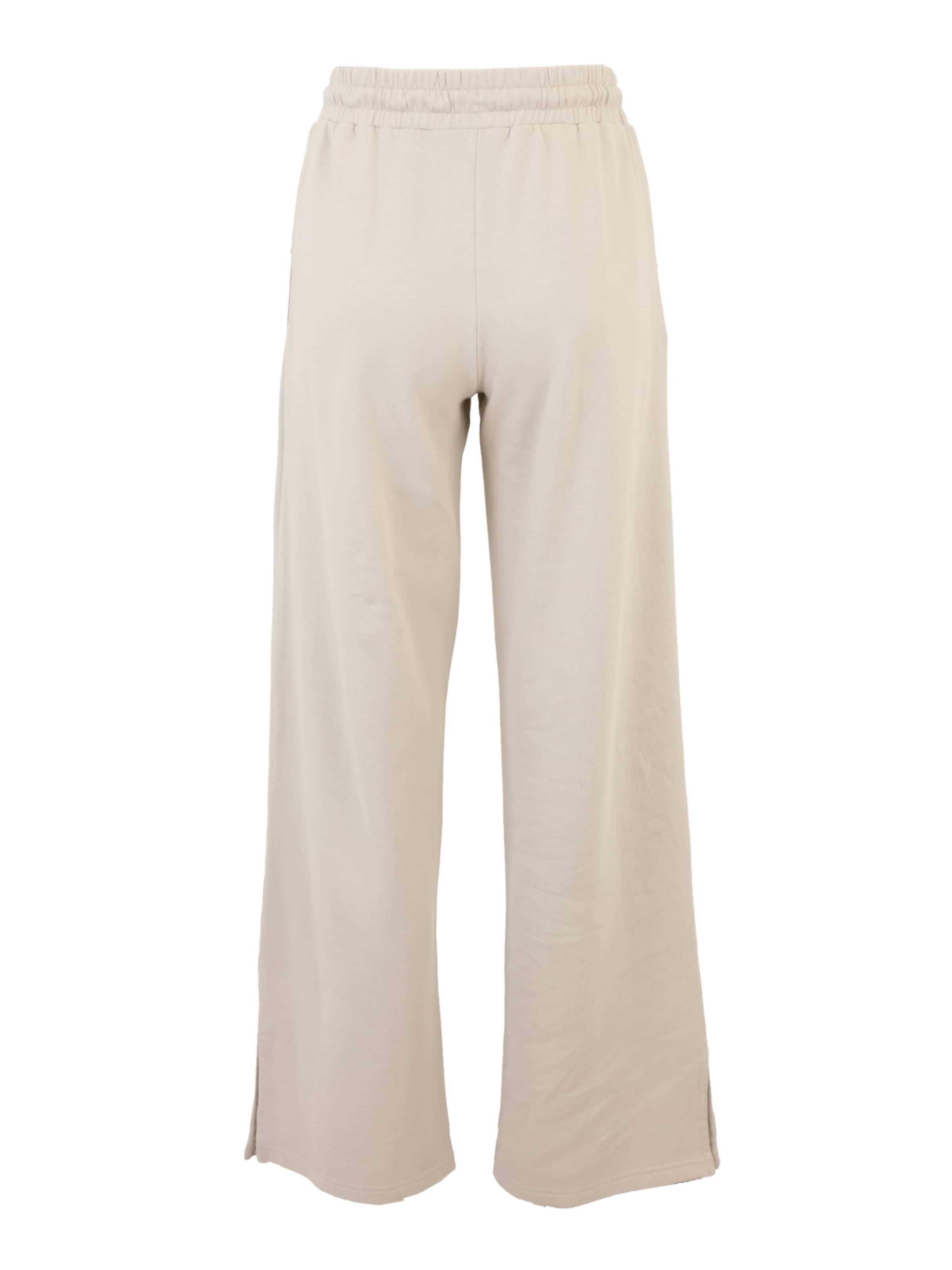 Loosefit Pantaloni 'ESSENTIAL' di KARL LAGERFELD JEANS in grigio: dietro