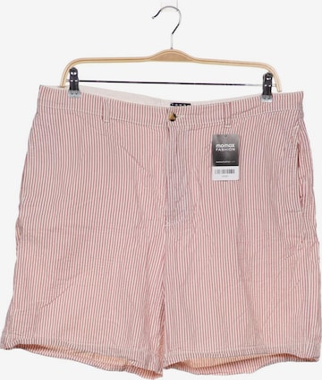 TOMMY HILFIGER Shorts 4XL in Pink: predná strana