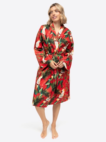 Cyberjammies Ochtendjas 'Tara' in Rood: voorkant