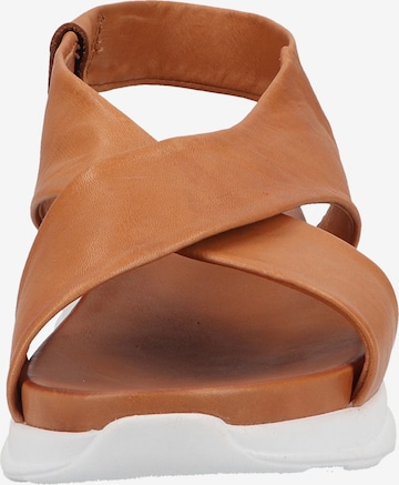 ILC Sandals in Brown