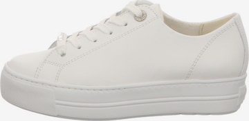 Paul Green Sneakers in White