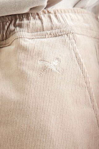 regular Pantaloni 'Corvin' di Iriedaily in beige