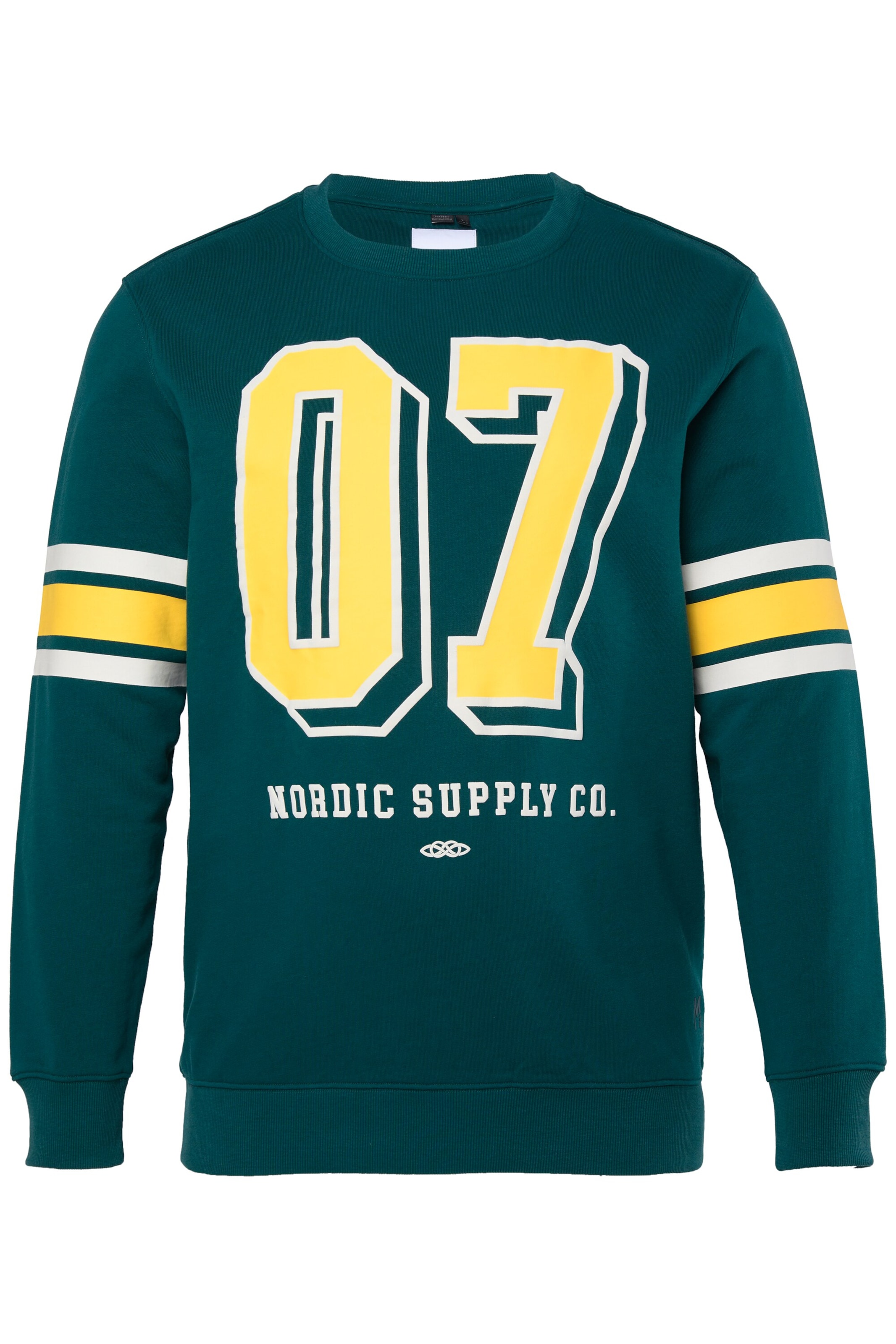 Men Plus Sweatshirt in Grün: Vorderseite